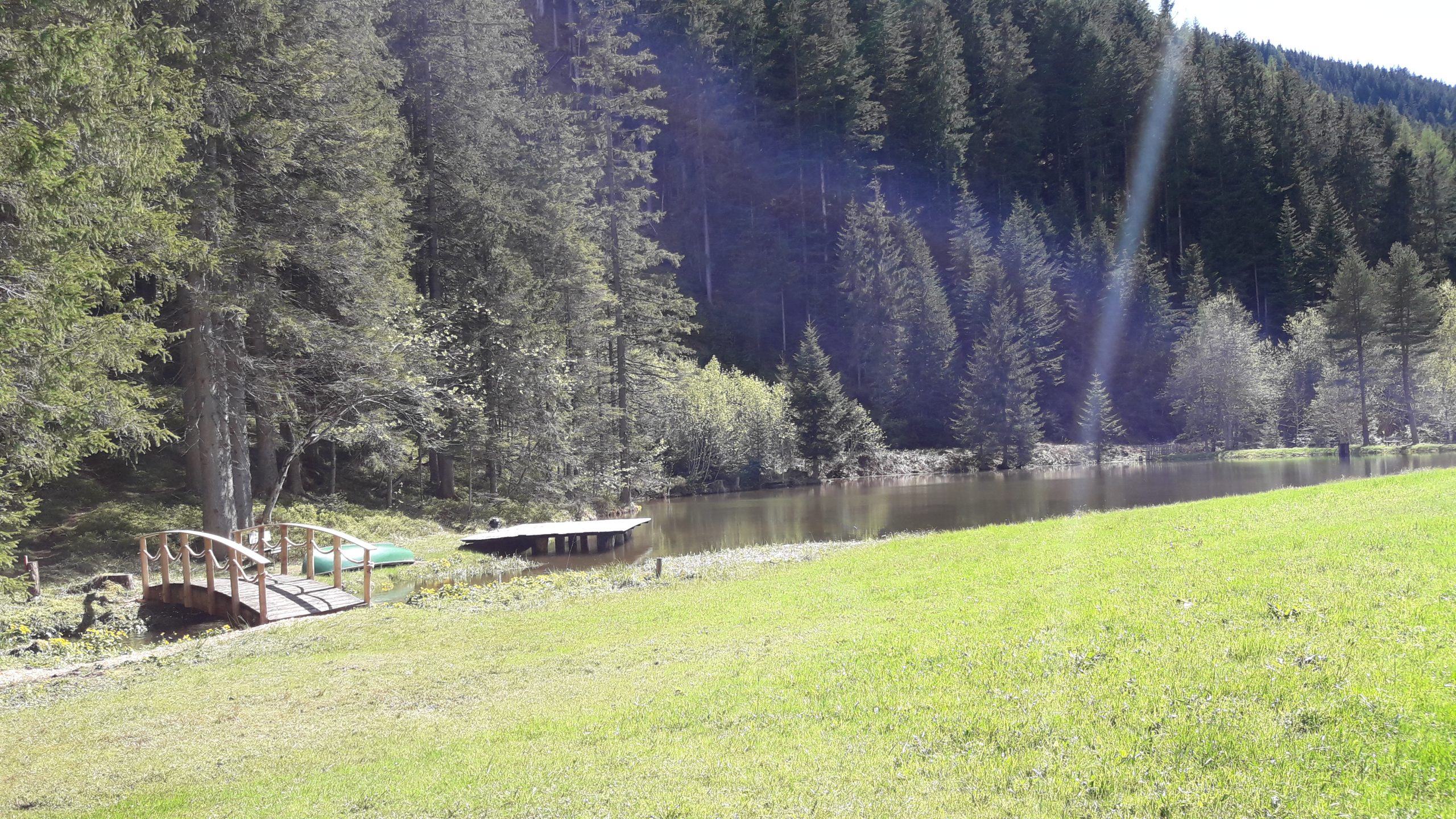 Stille statt Lärm im Kopf in der Natur am Teich